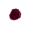PHILOSOPHY accessoires 3801