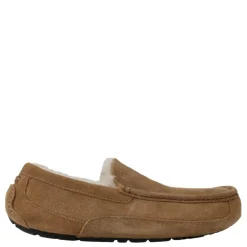 UGG instappers m ascot