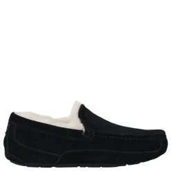 UGG pantoffels m.ascot