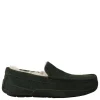 UGG pantoffels m.ascot